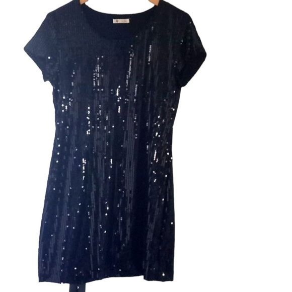 SOLD Anthropologie Dress Tulle Black Sequin Embellished Midi A-Line Stretch - Picture 12 of 12